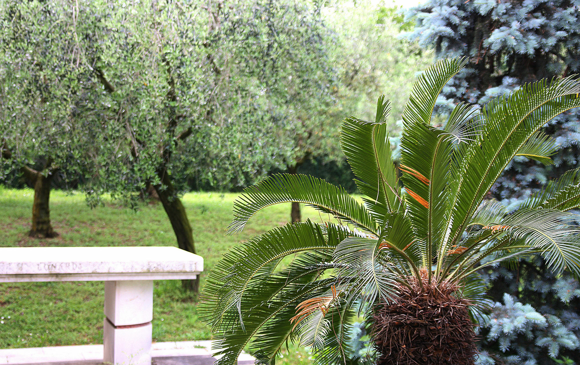San Giorgio Lazise Locazione Turistica Bed & Breakfast Cola  Exterior photo