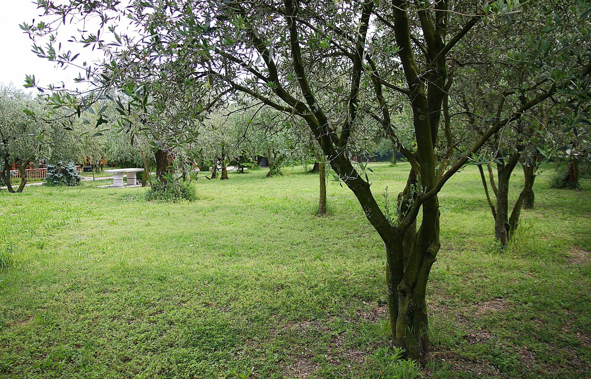 San Giorgio Lazise Locazione Turistica Bed & Breakfast Cola  Exterior photo